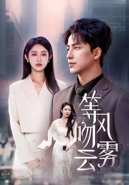 美剧《继承之战》海报
